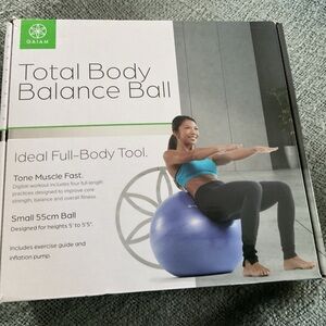 GAIAM Purple Stability Exercise Ball for Core Training